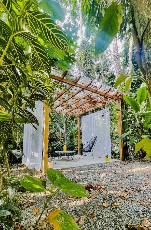 Casa Eden - Modern Peaceful Jungle Apartments Cocles Zewnętrze zdjęcie